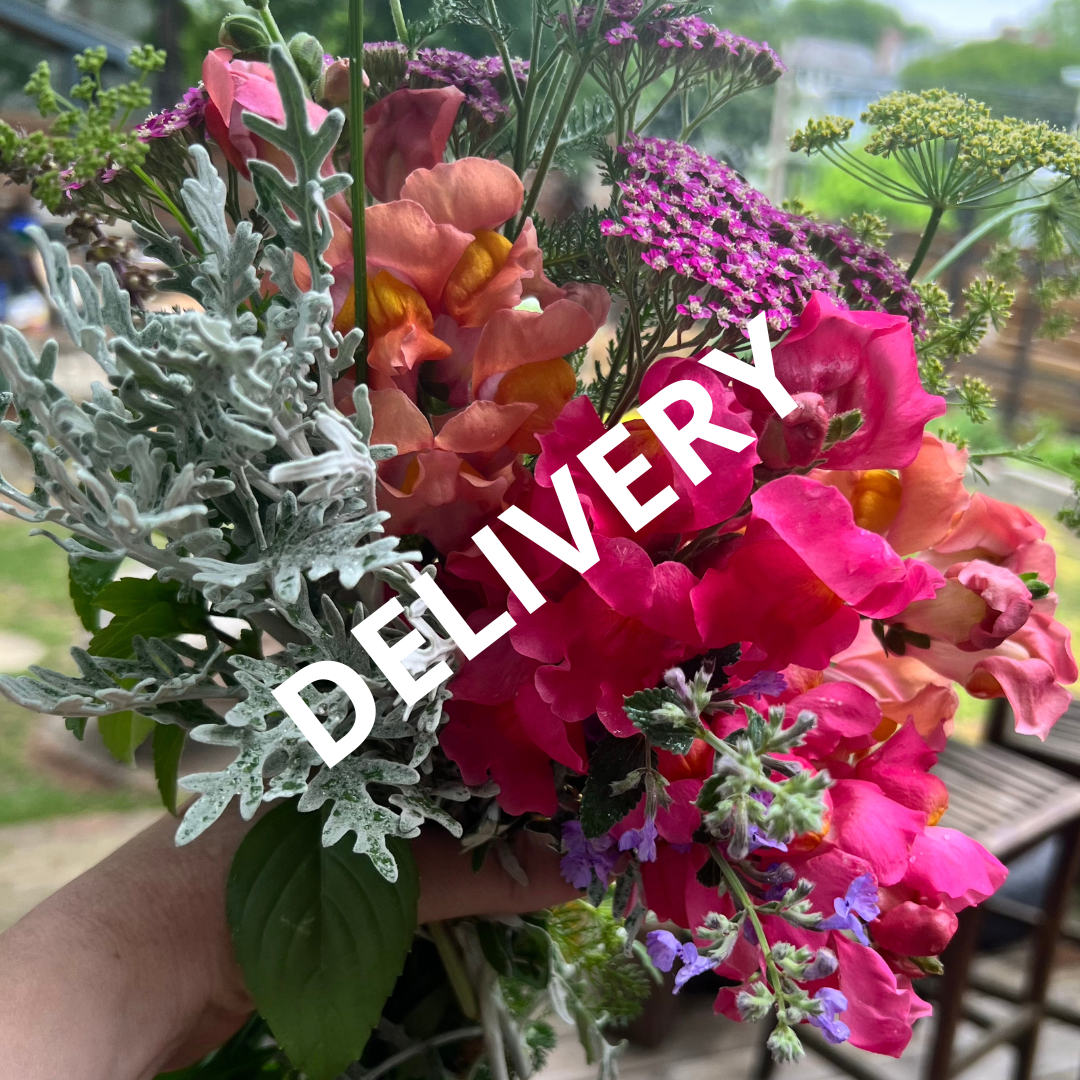 2023 Fall Subscription - Bi-Weekly (DELIVERY)