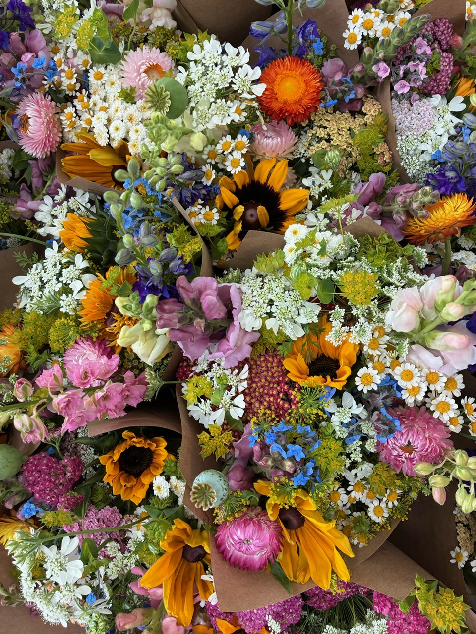 Late June Flowers Banner