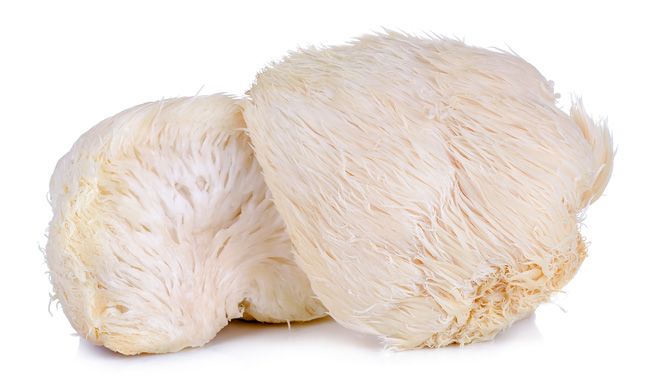 Other: Mushrooms, Lions Mane