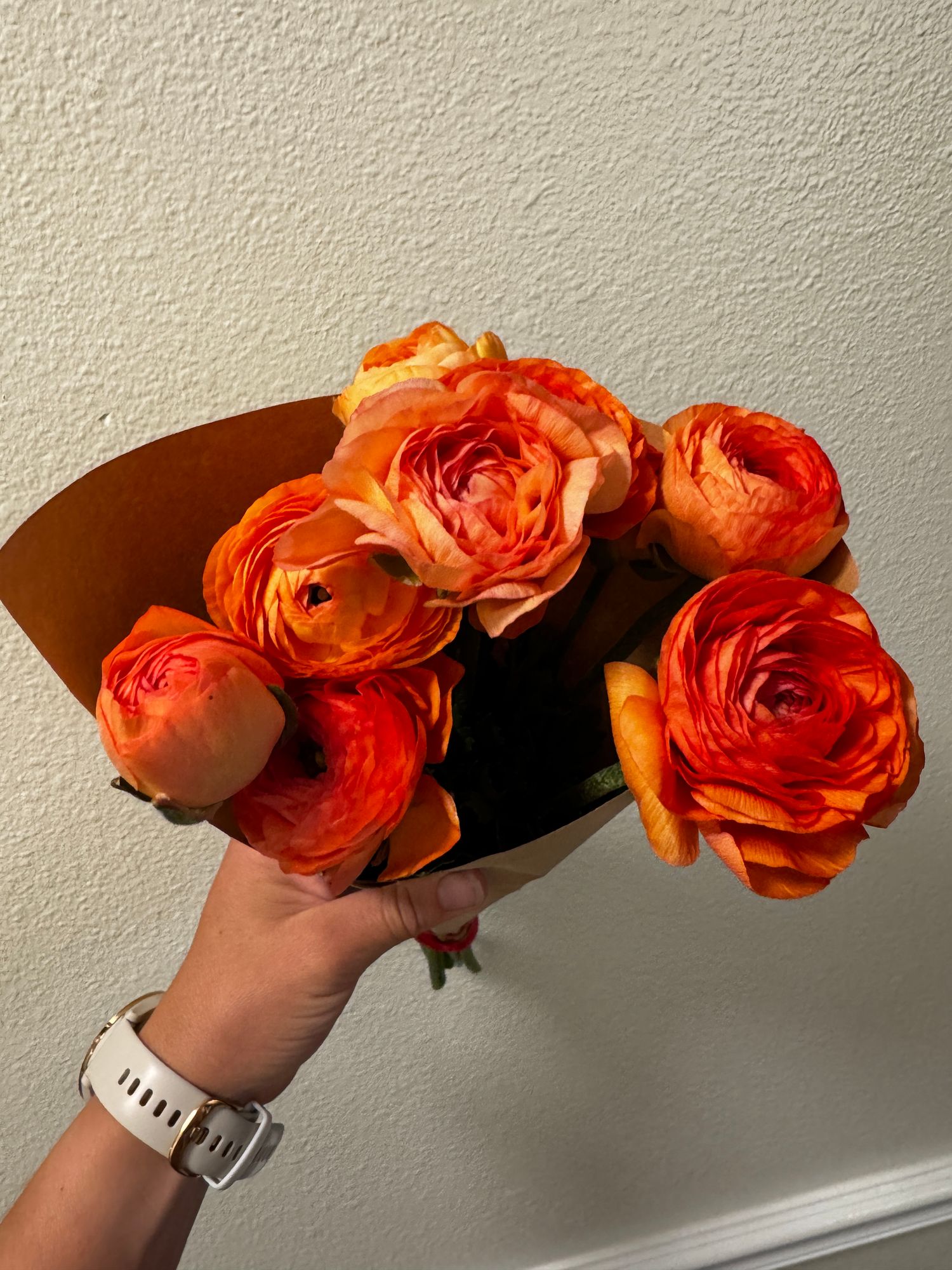 RANUNCULUS Amandine Orange