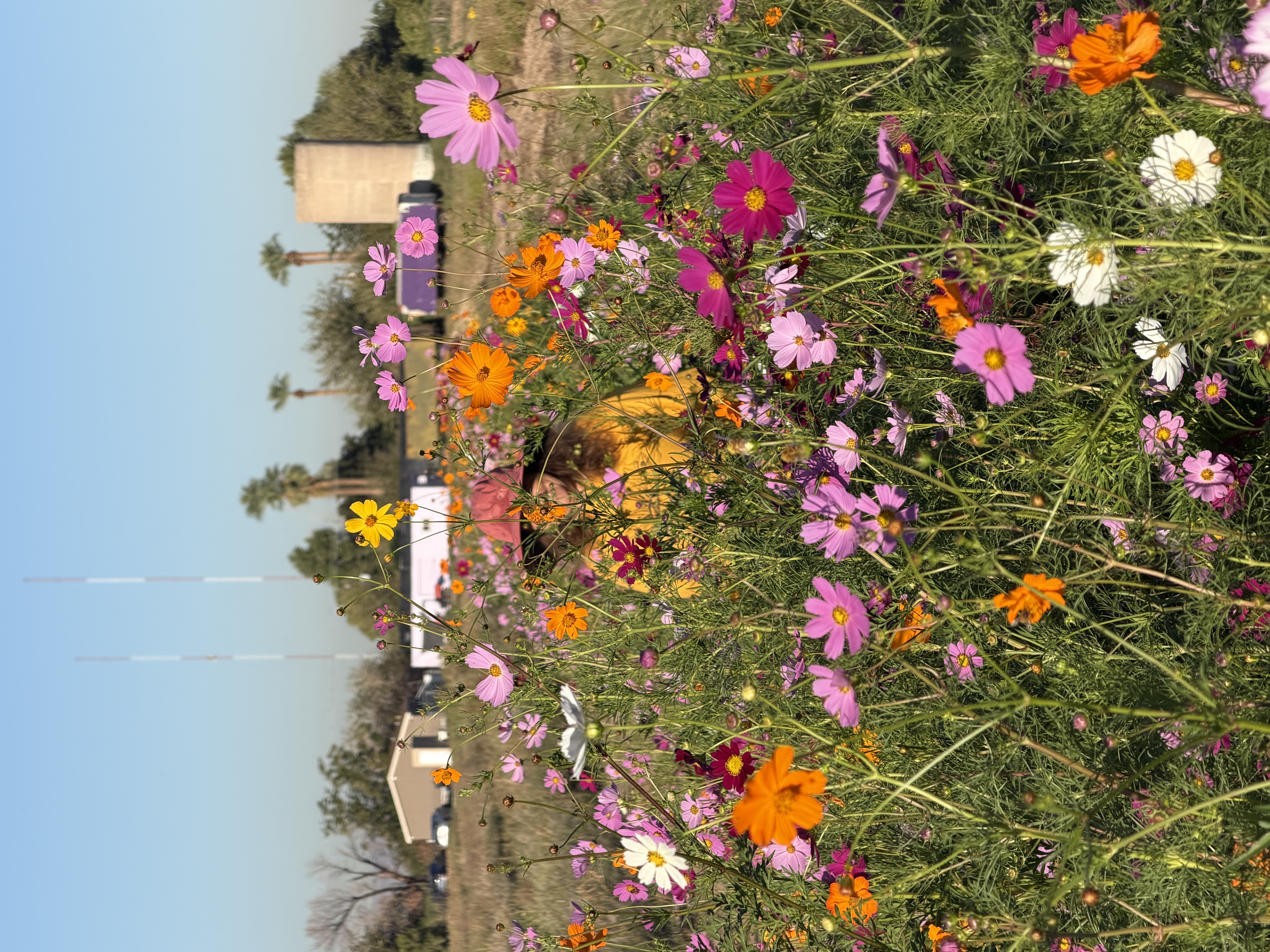 Agatha’s Flower Farm Banner