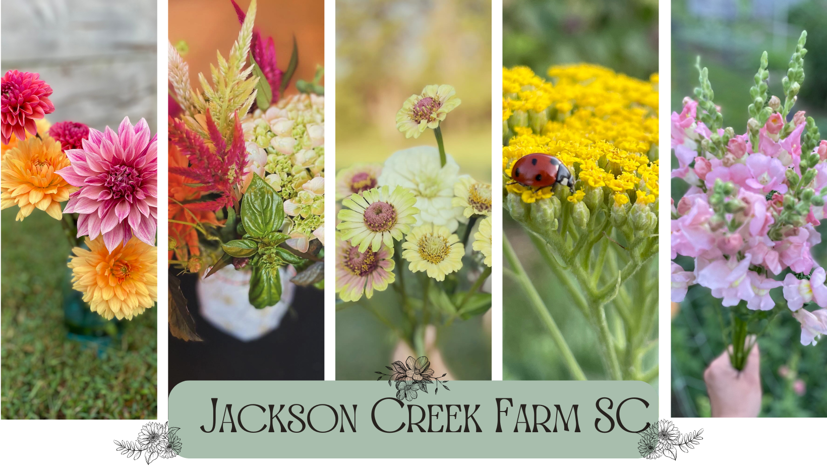 Jackson Creek Farm SC, LLC Banner