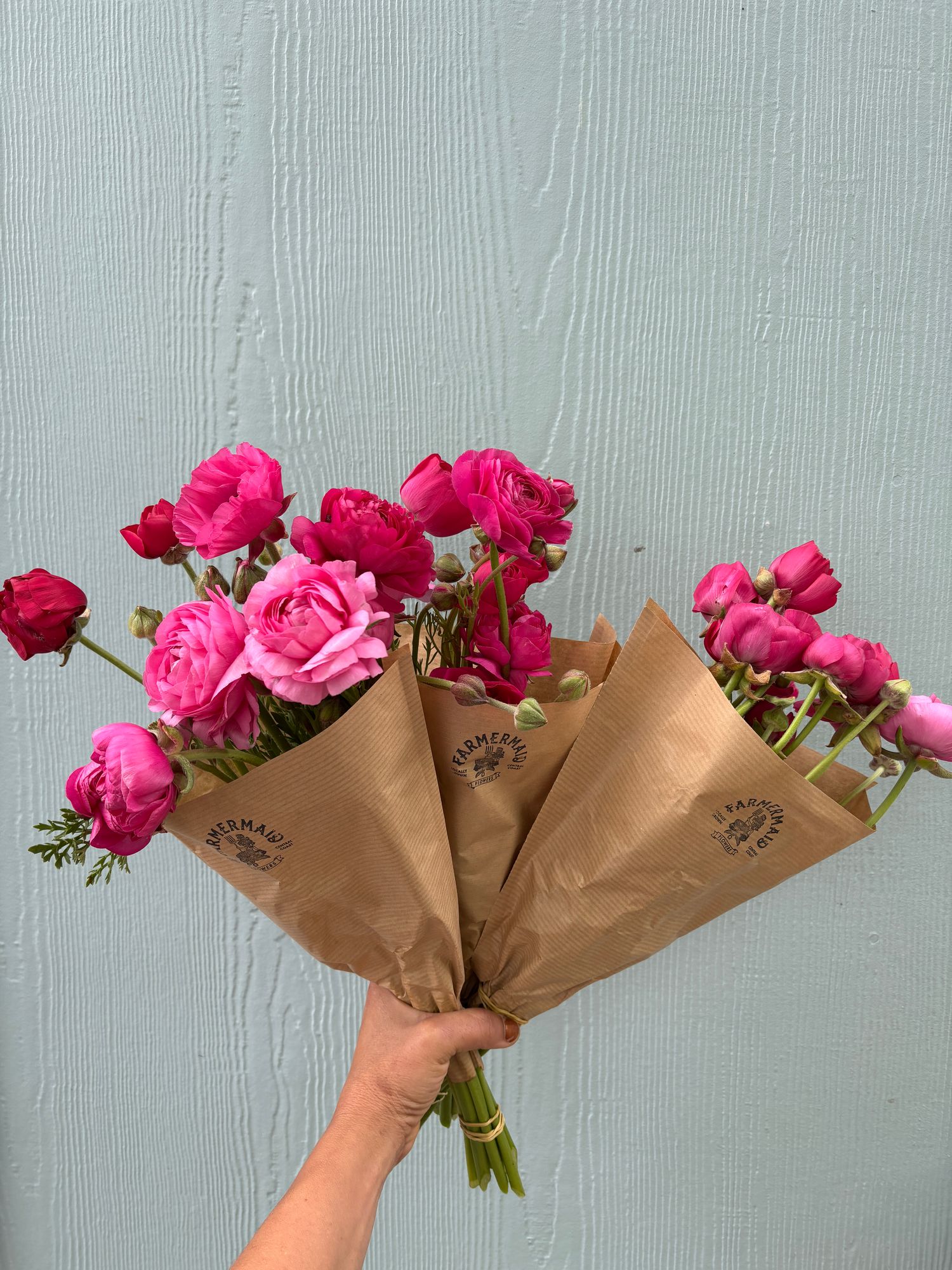 RANUNCULUS