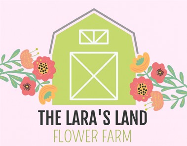 The Lara's Land Banner