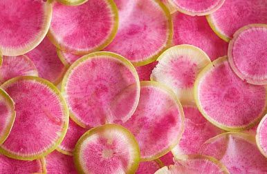 Root Vegetables: Radish, Watermelon