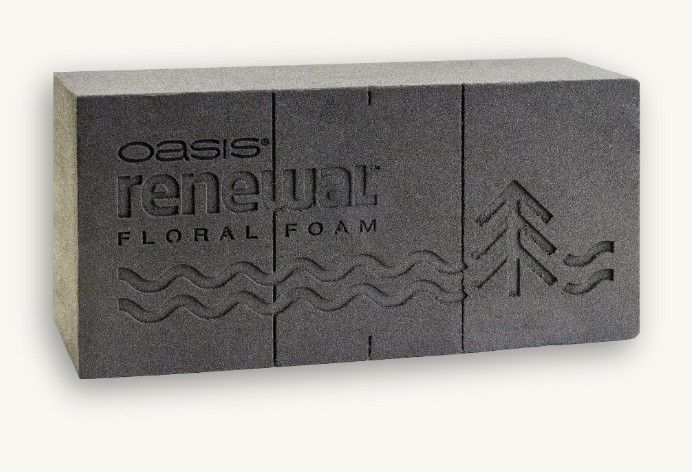 OASIS Renewal Foam Brick