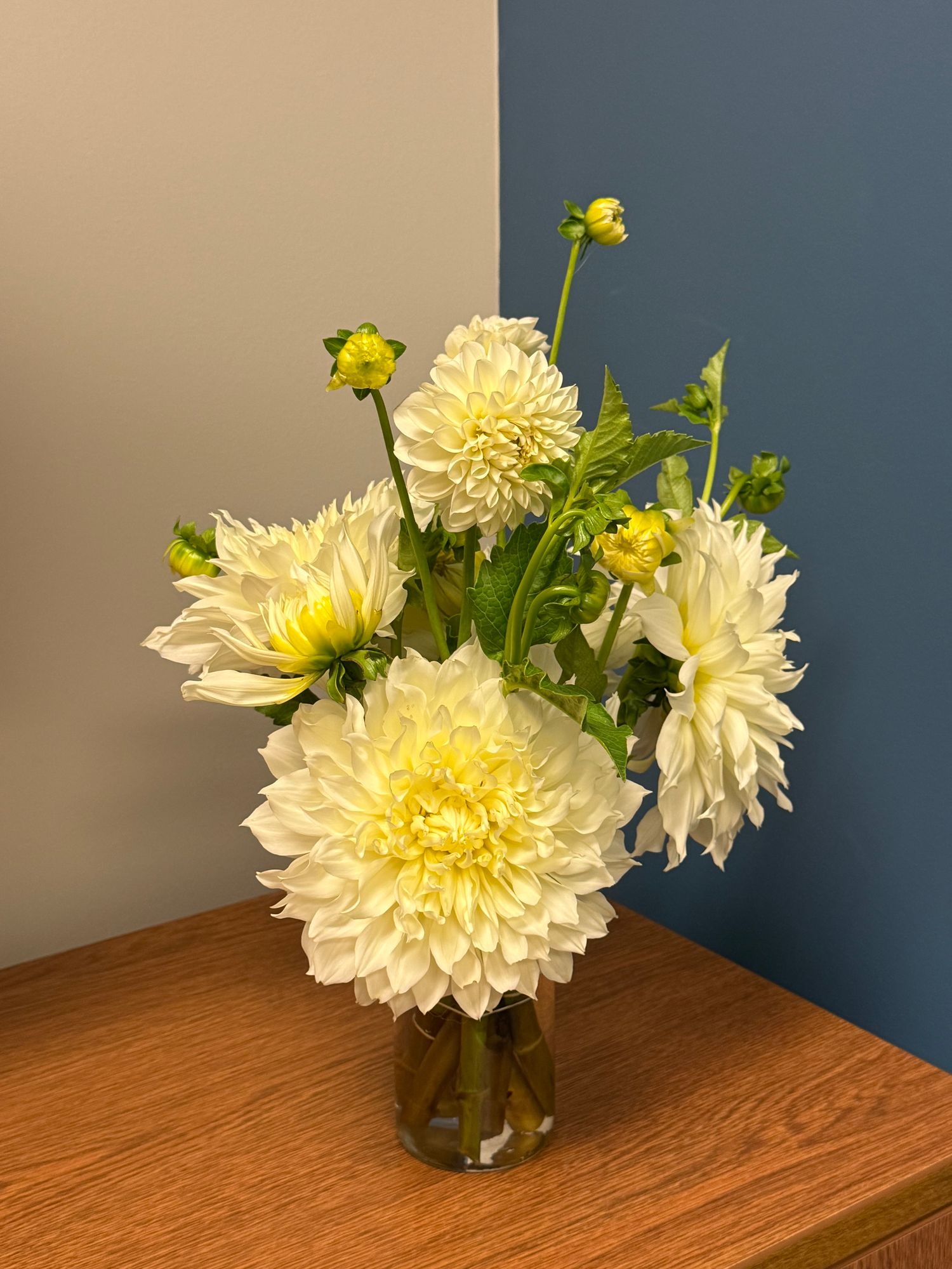 DAHLIA Decorative