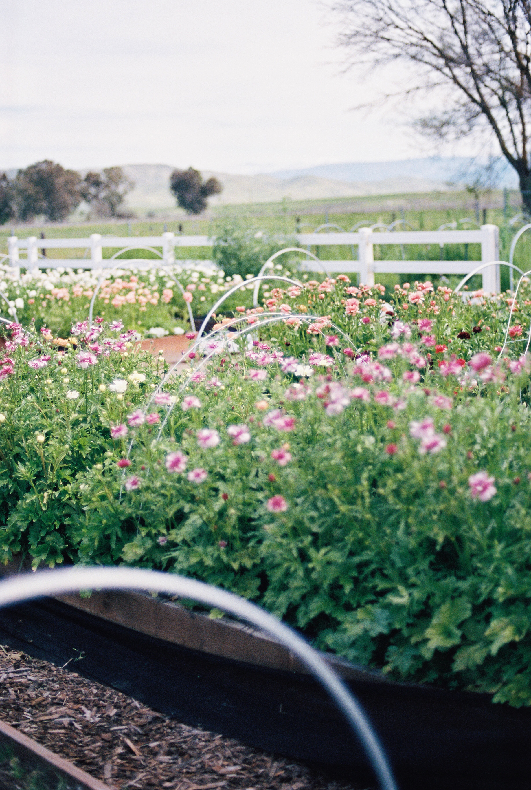 The Farmer Florist Banner