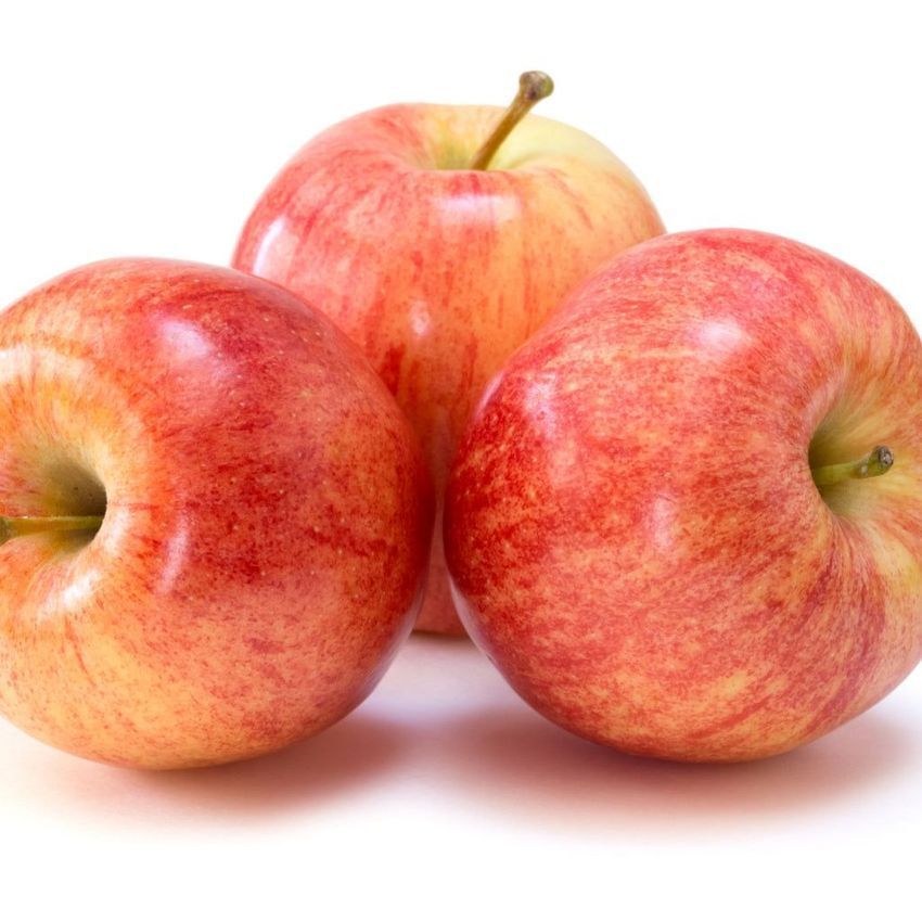 Fruits: Apple, Gala (1/2 bushel bag)