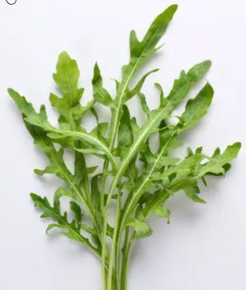 Greens: Arugula