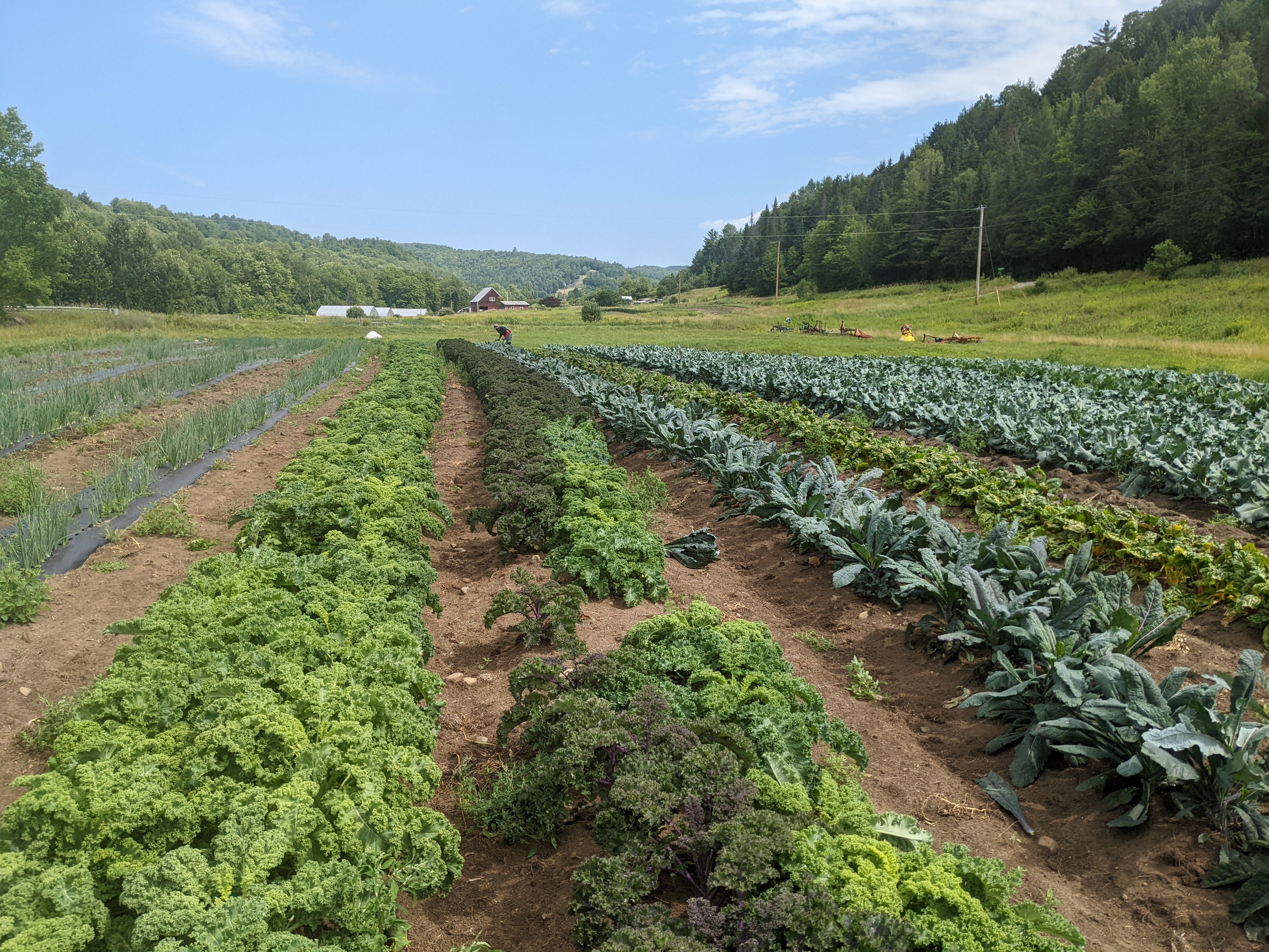Moon Castle Farm Banner