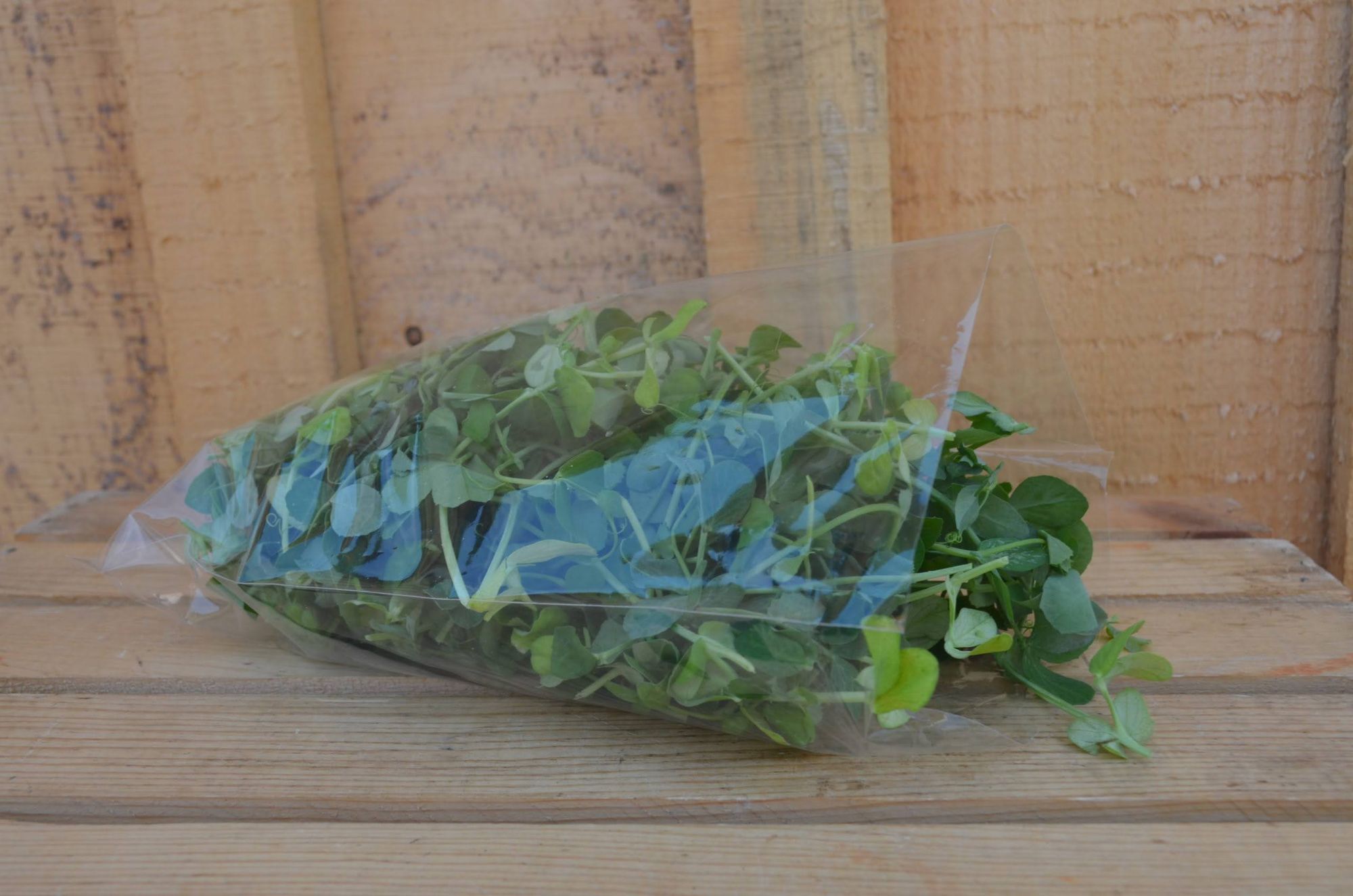 Pea Shoots
