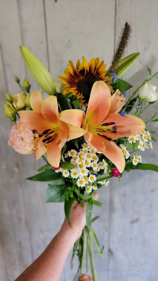 LILIUM x orientalis