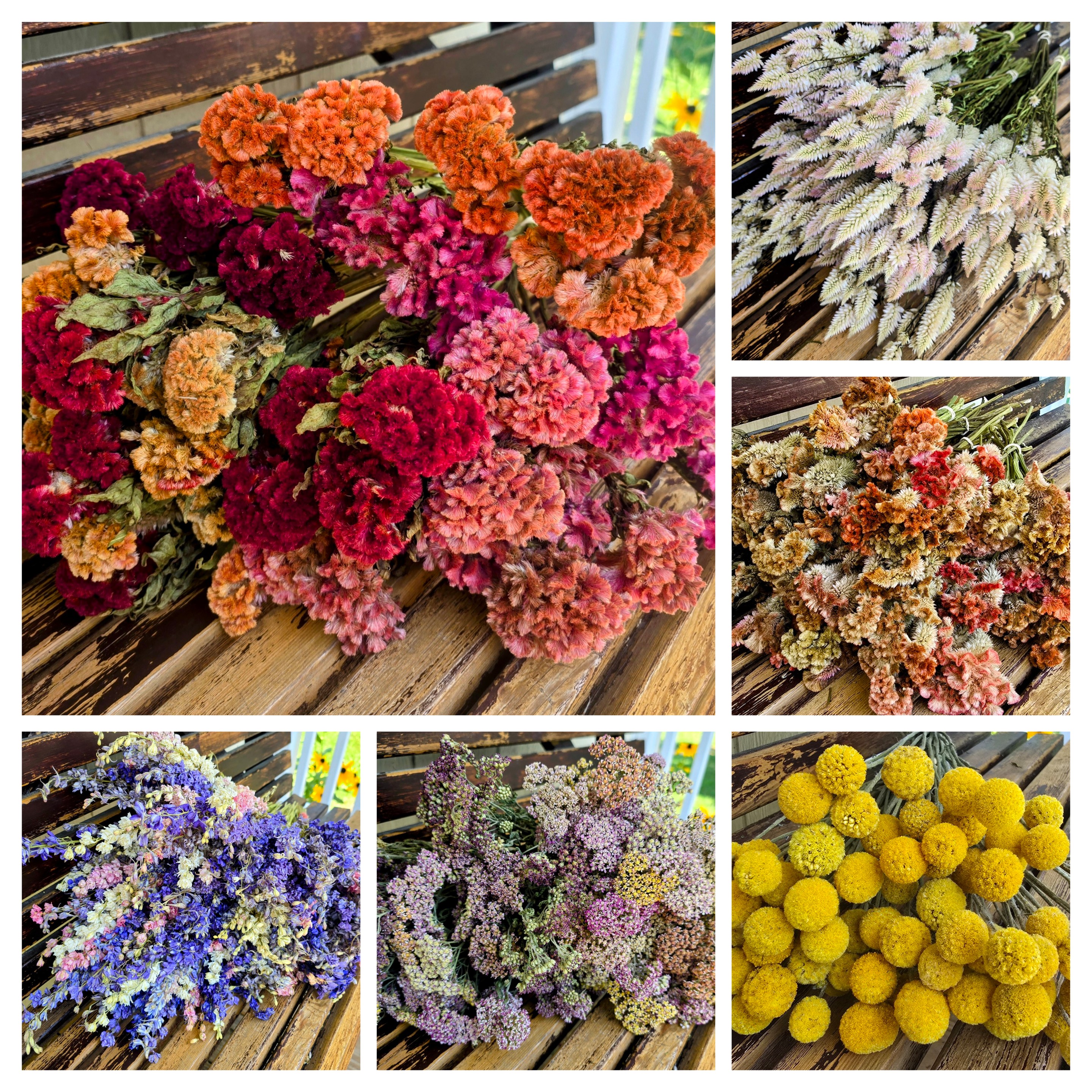 Mixed Bunches