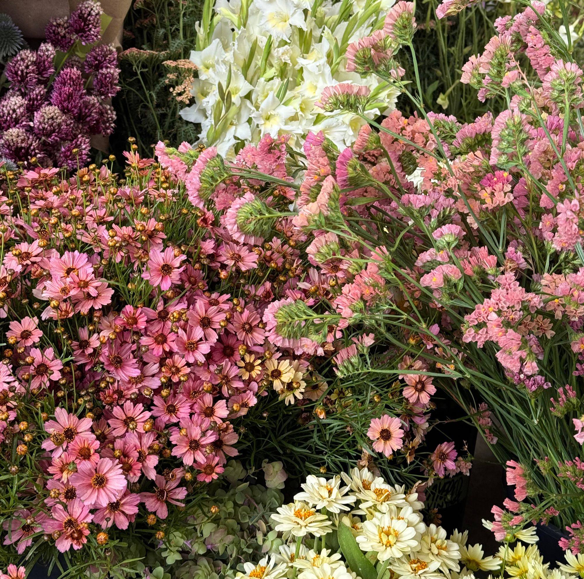 Grower's Choice Bucket - July 4th Special! DELIVERY
