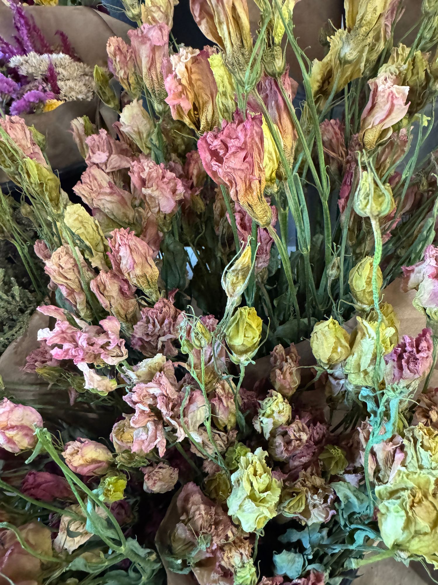 EUSTOMA grandiflorum