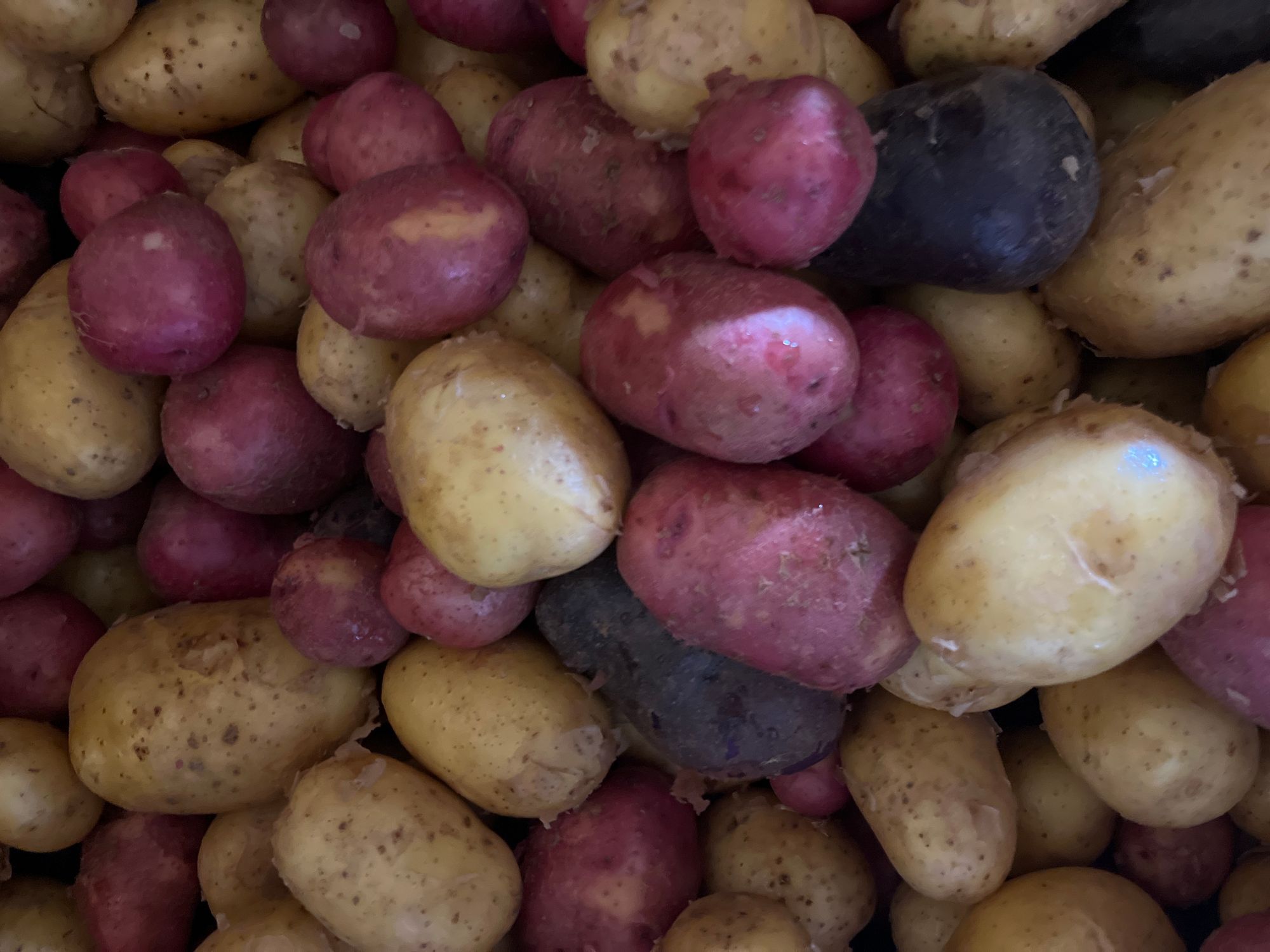 New potatoes