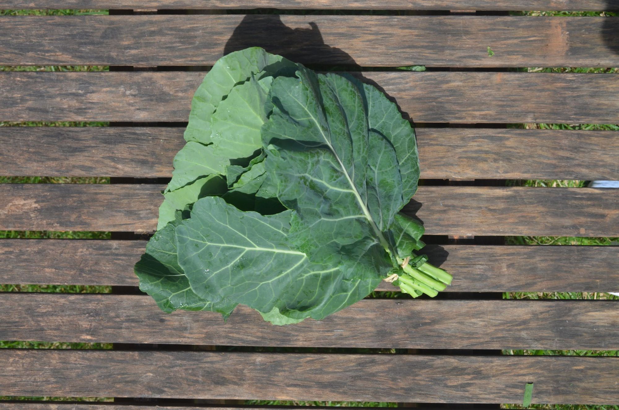 Collard bunches