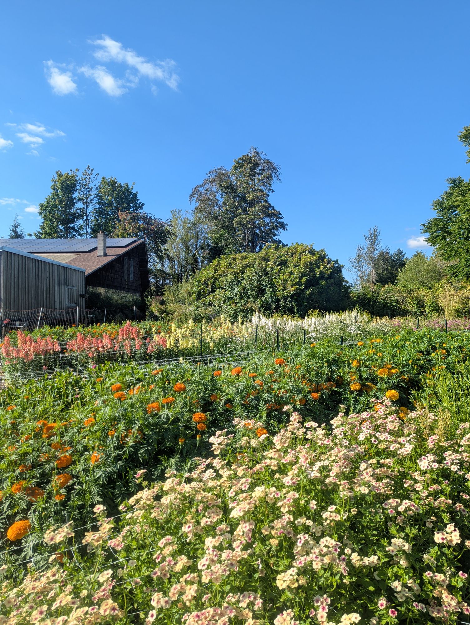 Headwaters Farm Banner
