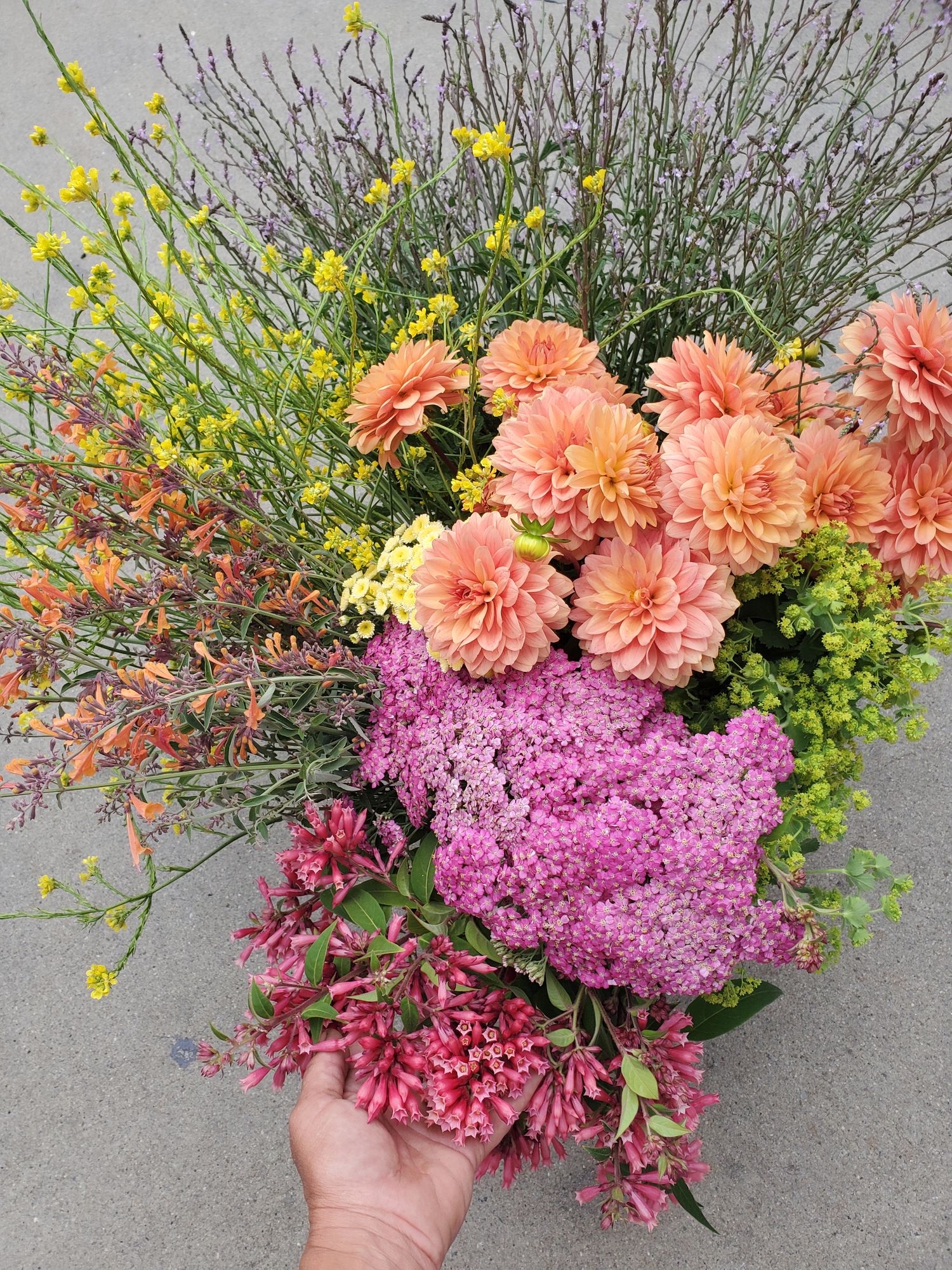 Color Palette Bucket - Bright Growers Choice 100 stems