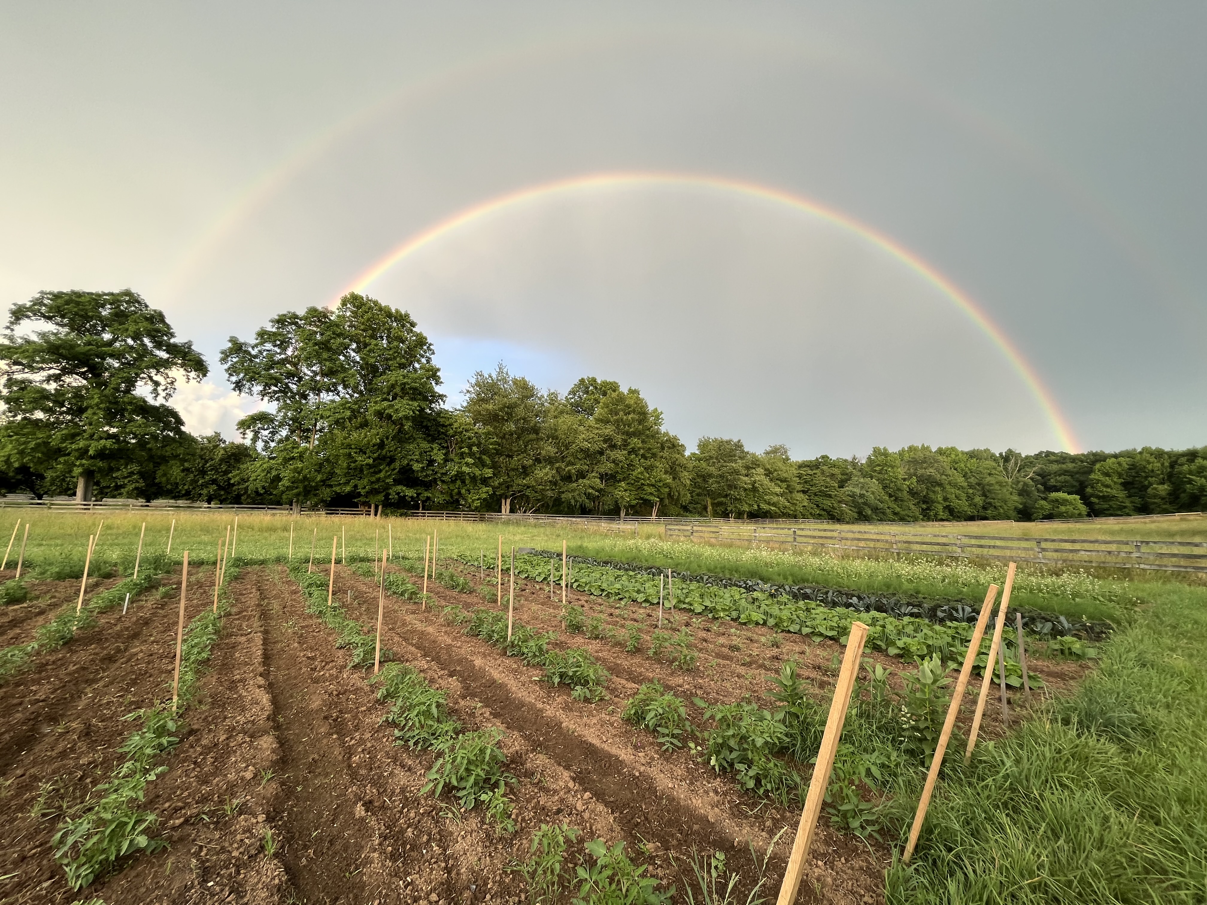 Homebody Farm LLC Banner