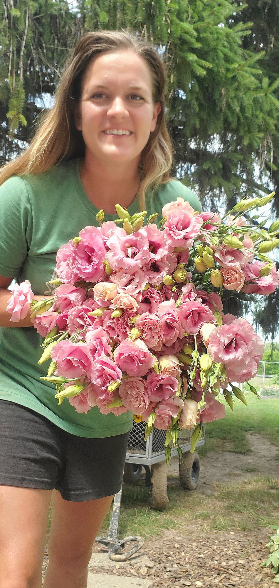 EUSTOMA grandiflorum ABC 2