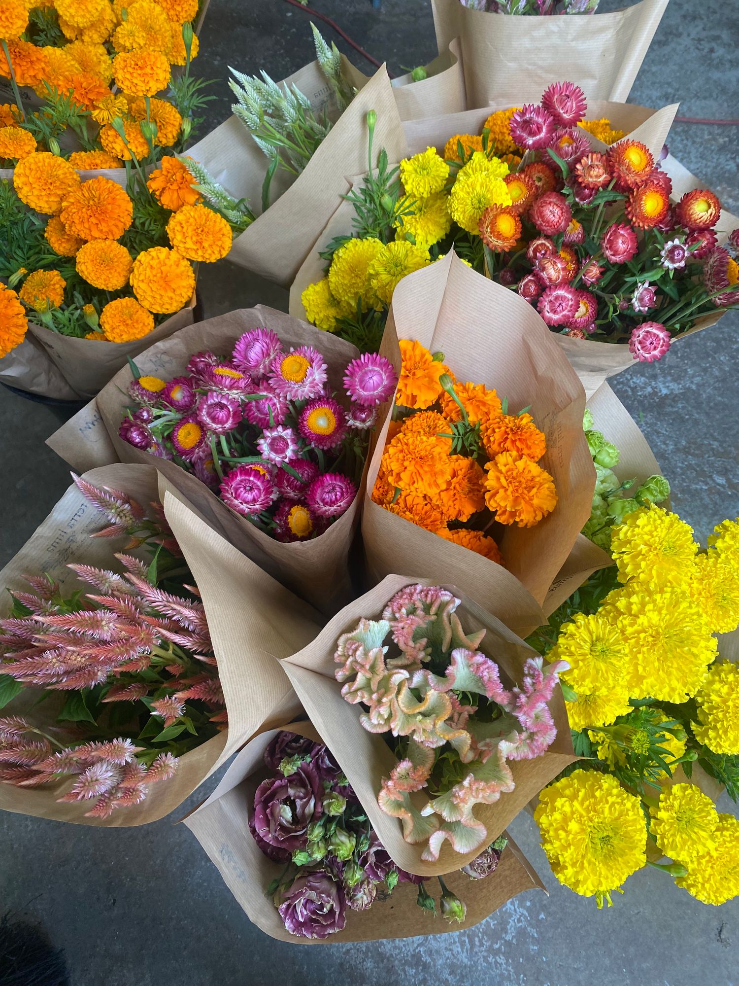 Grower's Choice Bucket