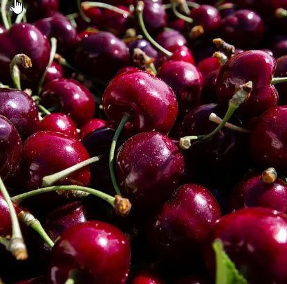 Fruits: Cherries, Sweet