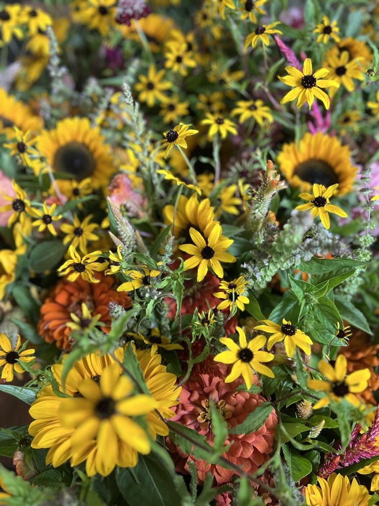 Quince & Burdock Banner