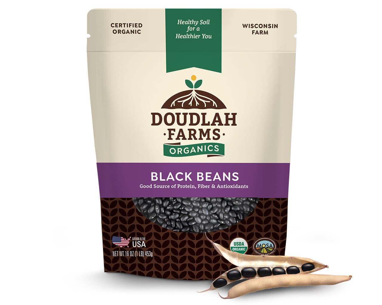 Legumes: Beans, Black Turtle Dried (1lb)