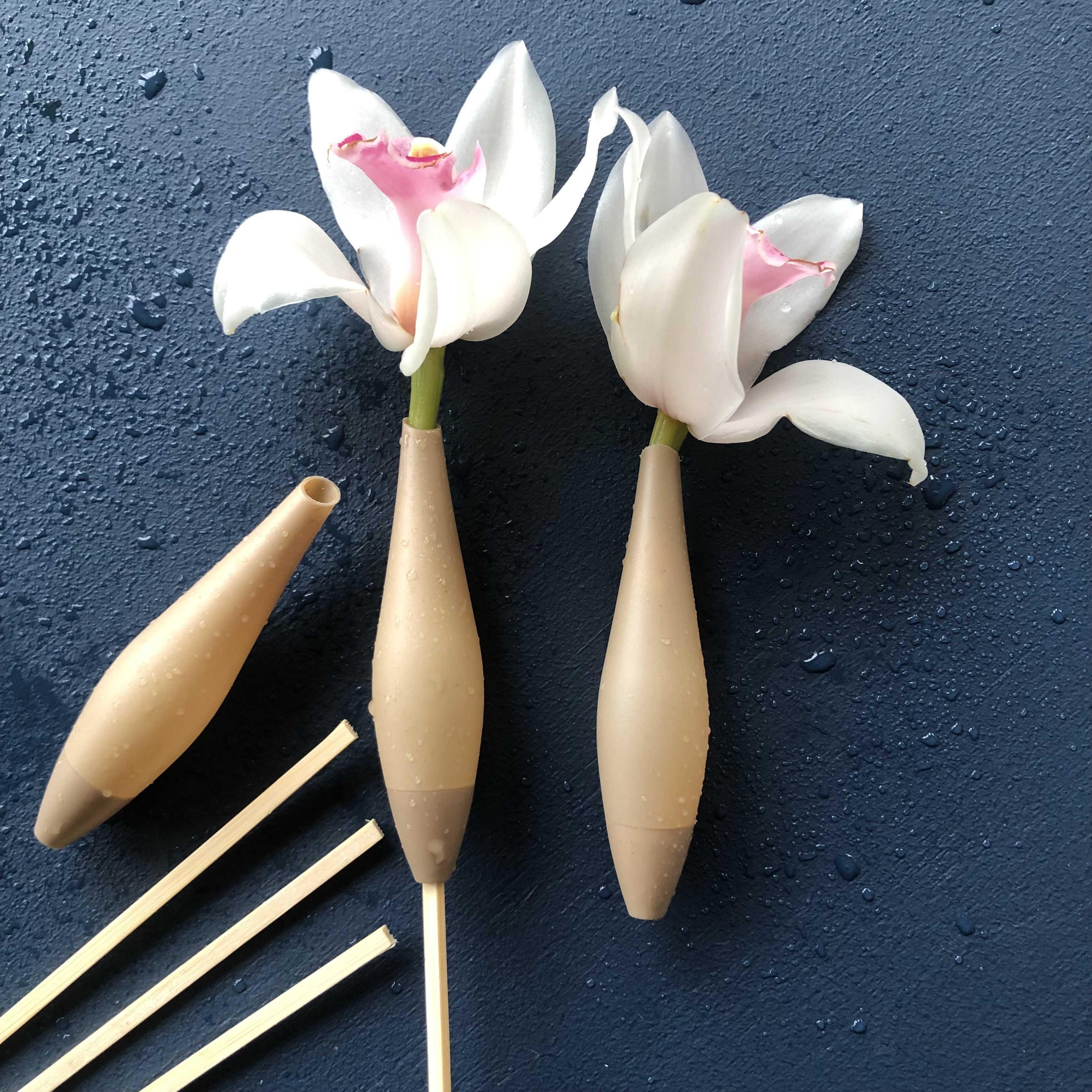 OLMS - WaterPods:  SMALL/NON-HANGING Flower Tubes - WITH STICKS