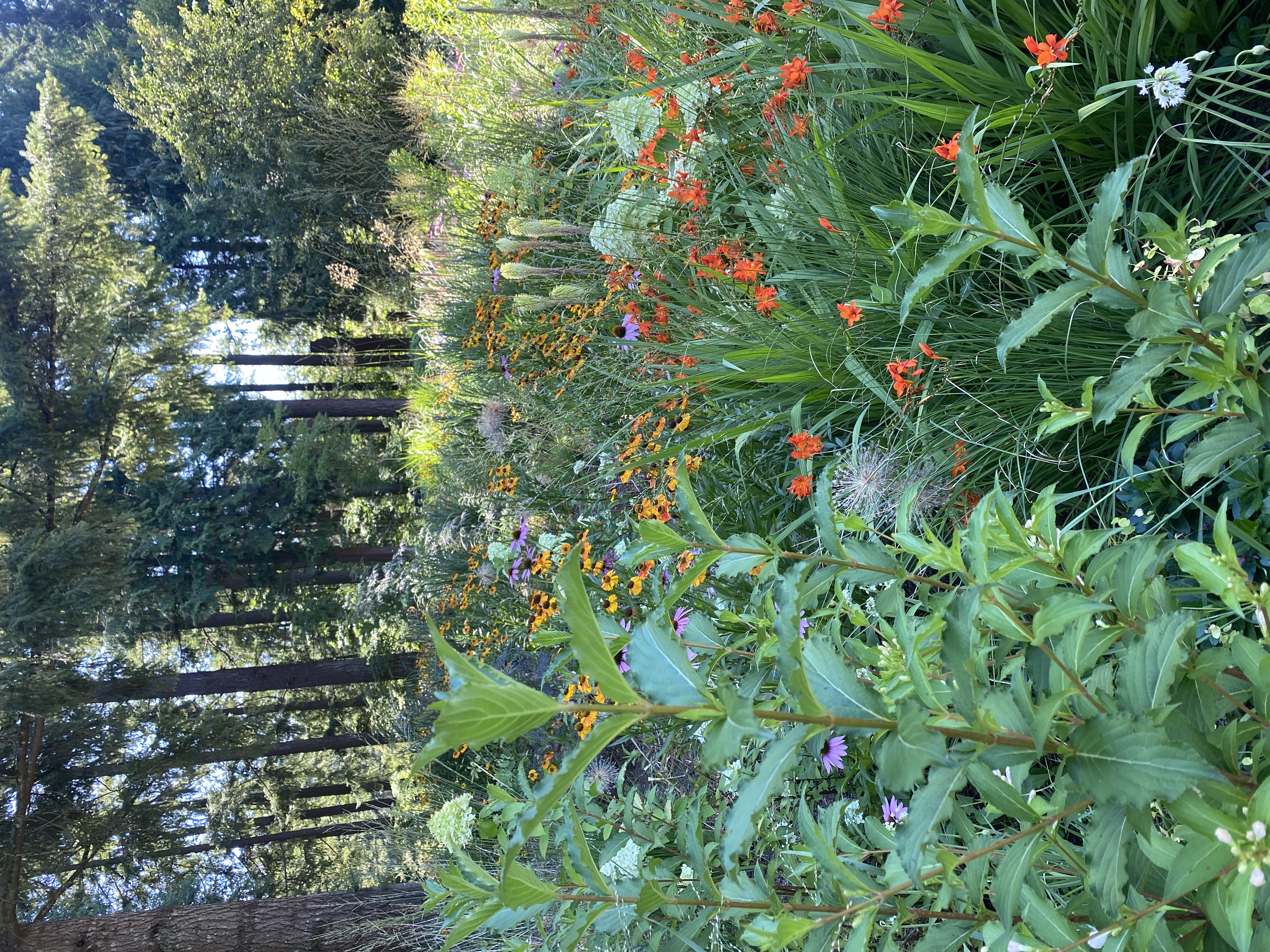 Fireweed Floral Banner