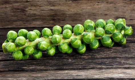 Brussels Sprouts - Stalk