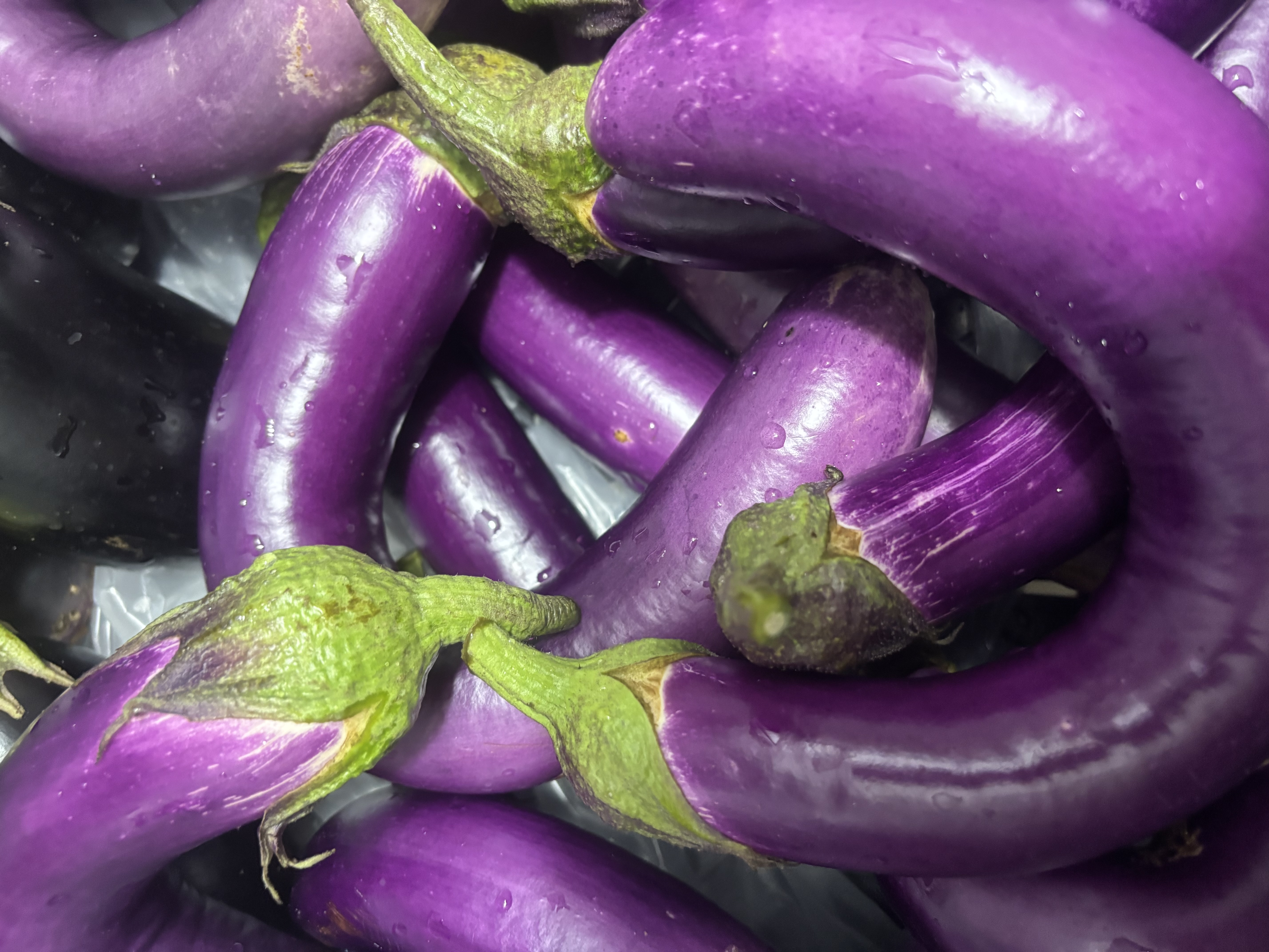 Organic Eggplant, Japanese Pink