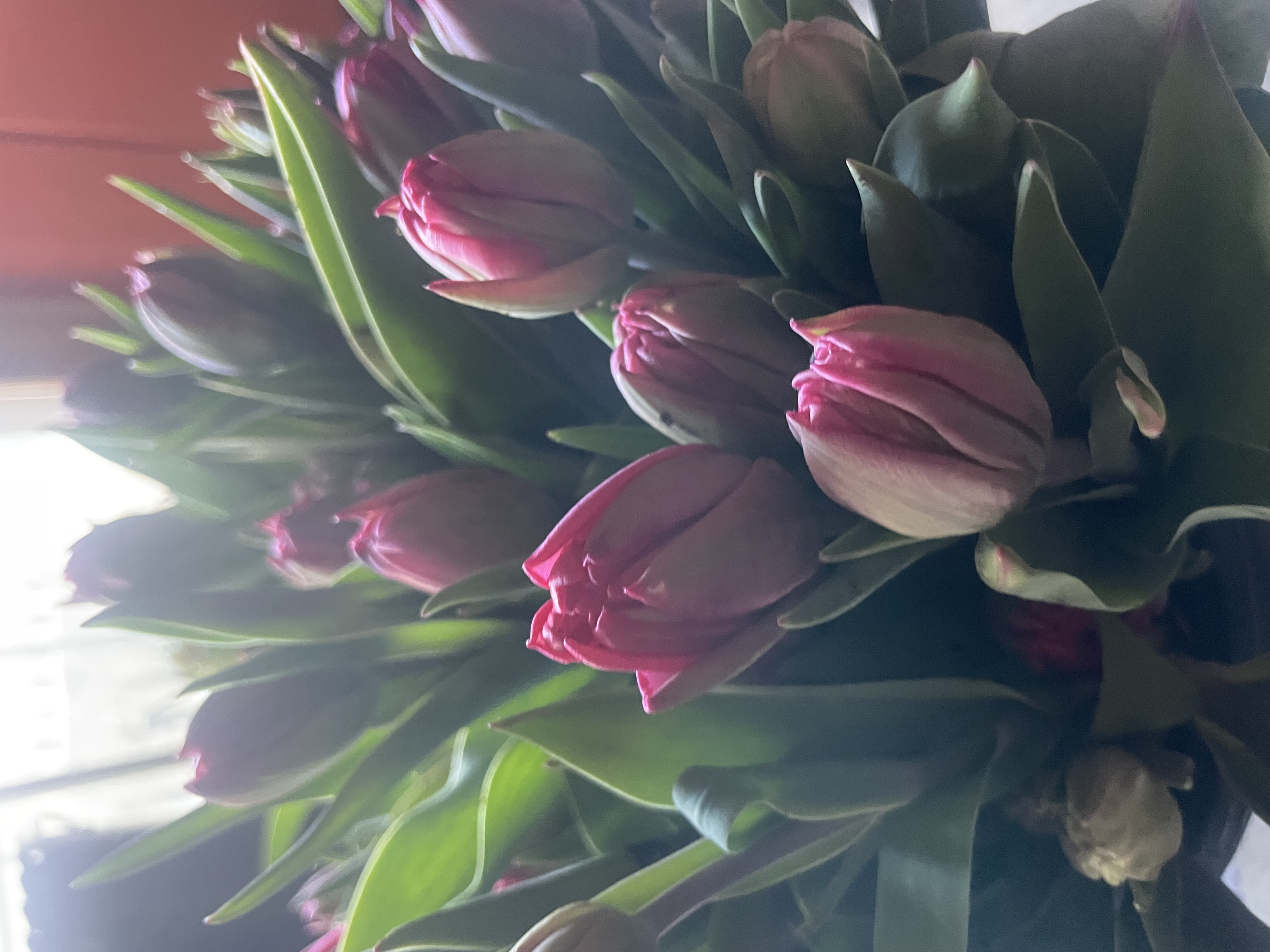 FlowerHead Floral Company Banner