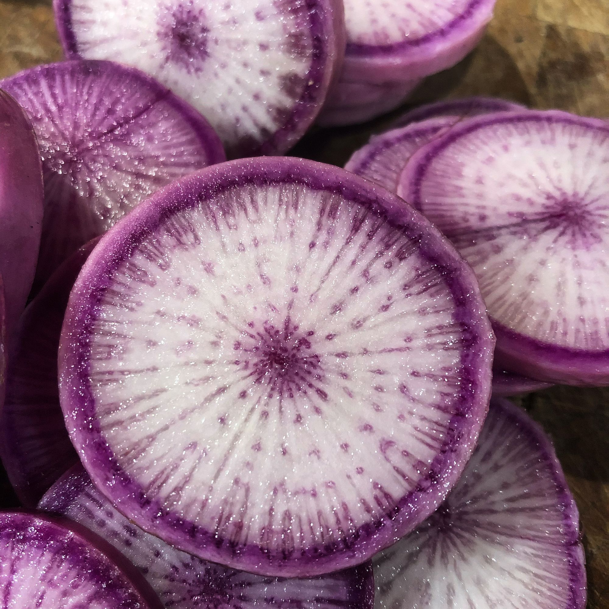Radish, Purple Daikon