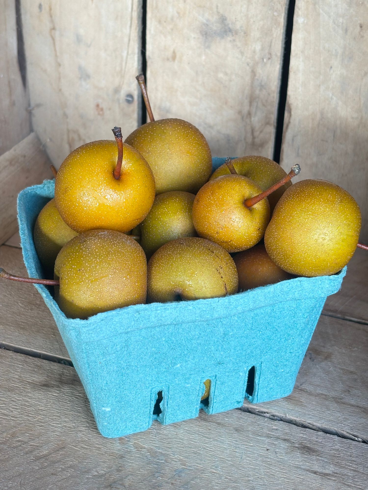 Asian Pear