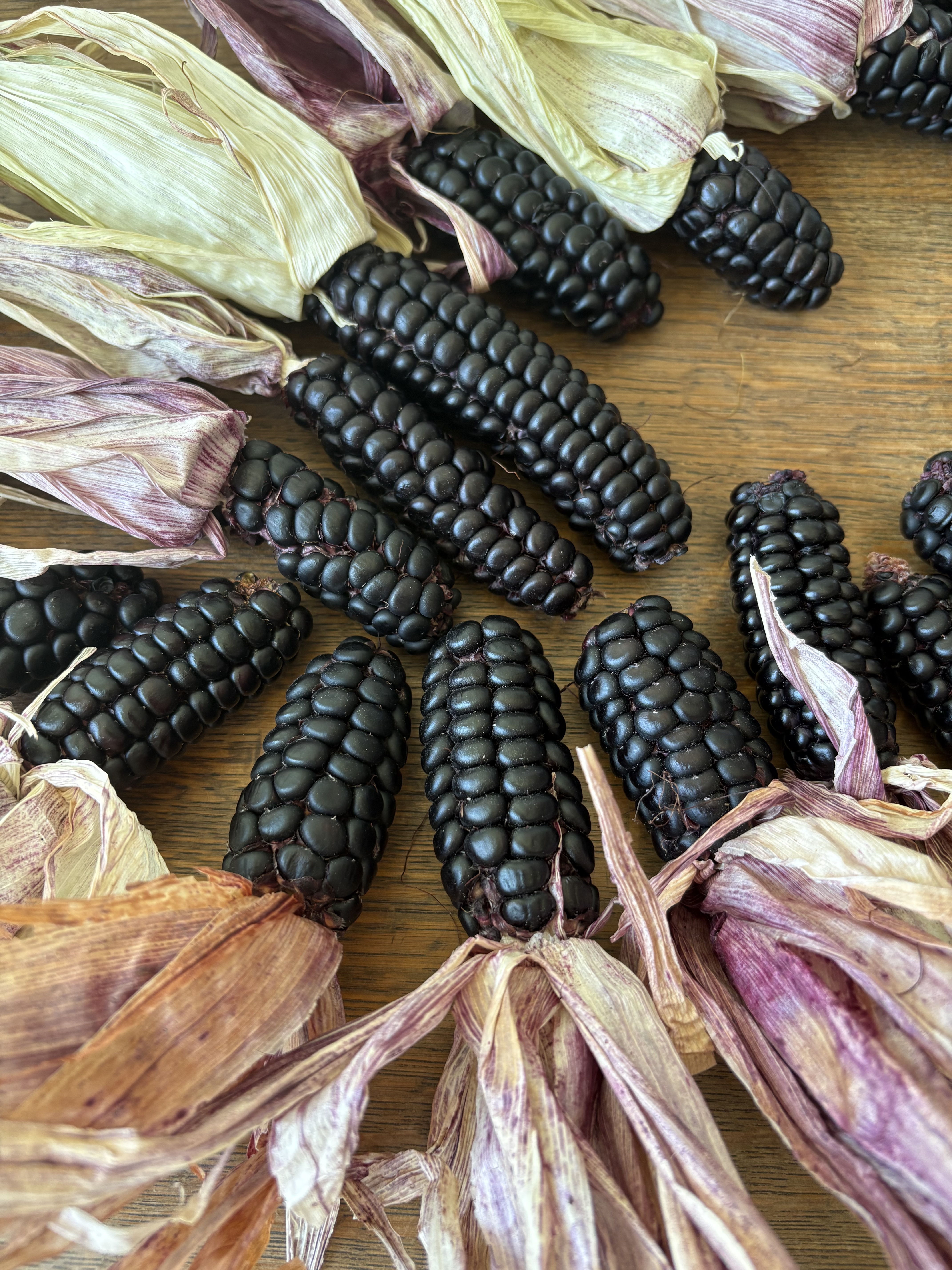 ZEA mays