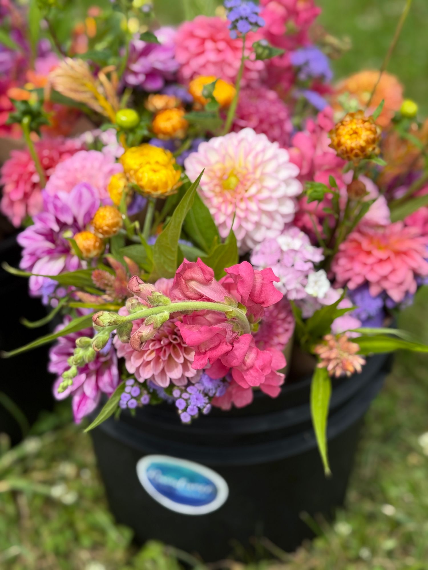 Mixed Bouquet