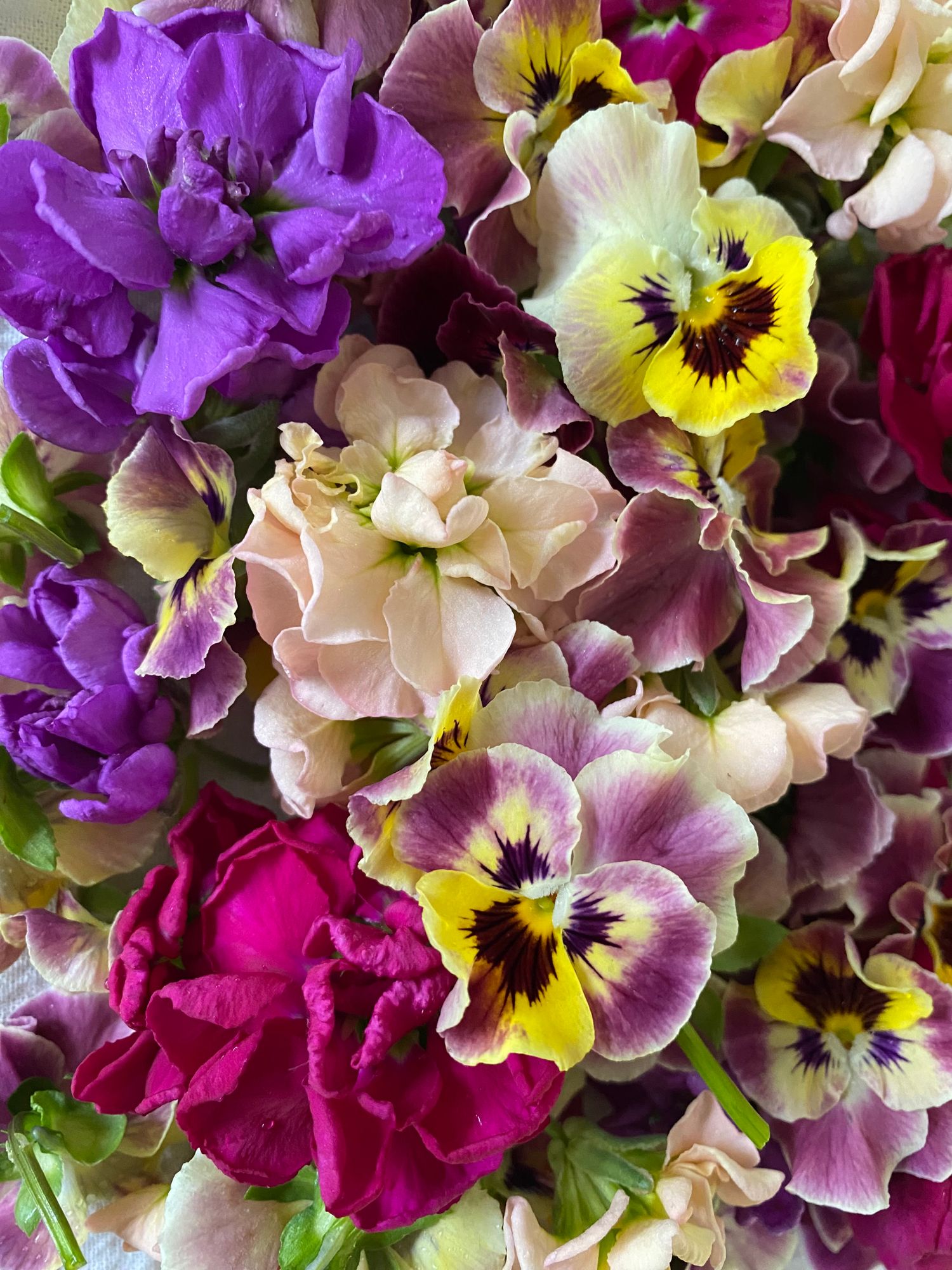 Edible Flower Mix