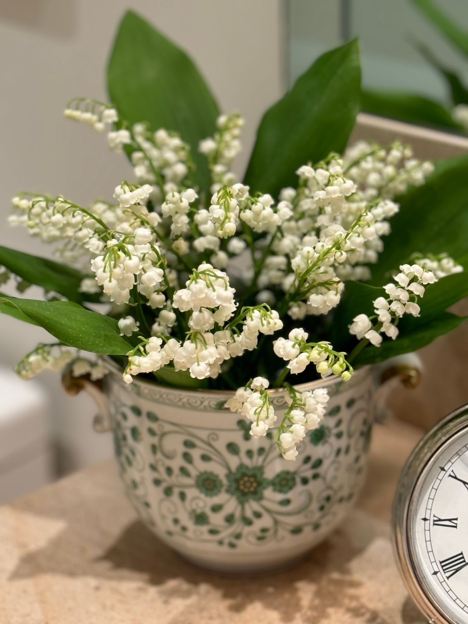 CONVALLARIA