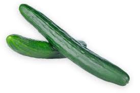 Cucurbit: Cucumber, English