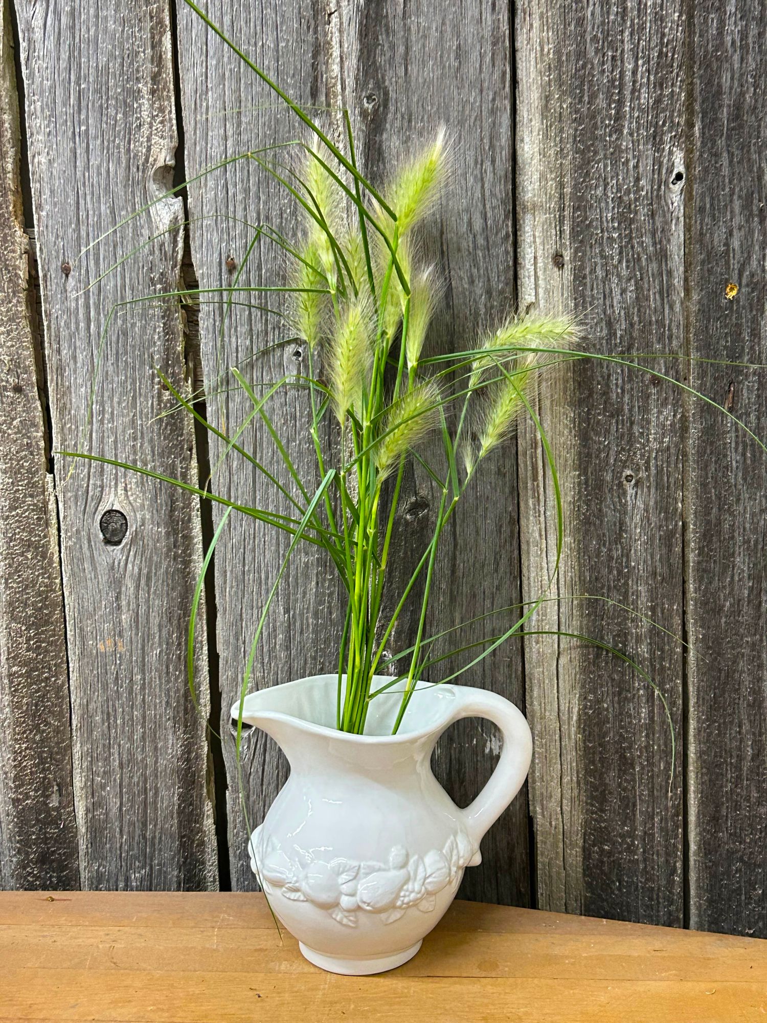 PENNISETUM villosum Feather Top
