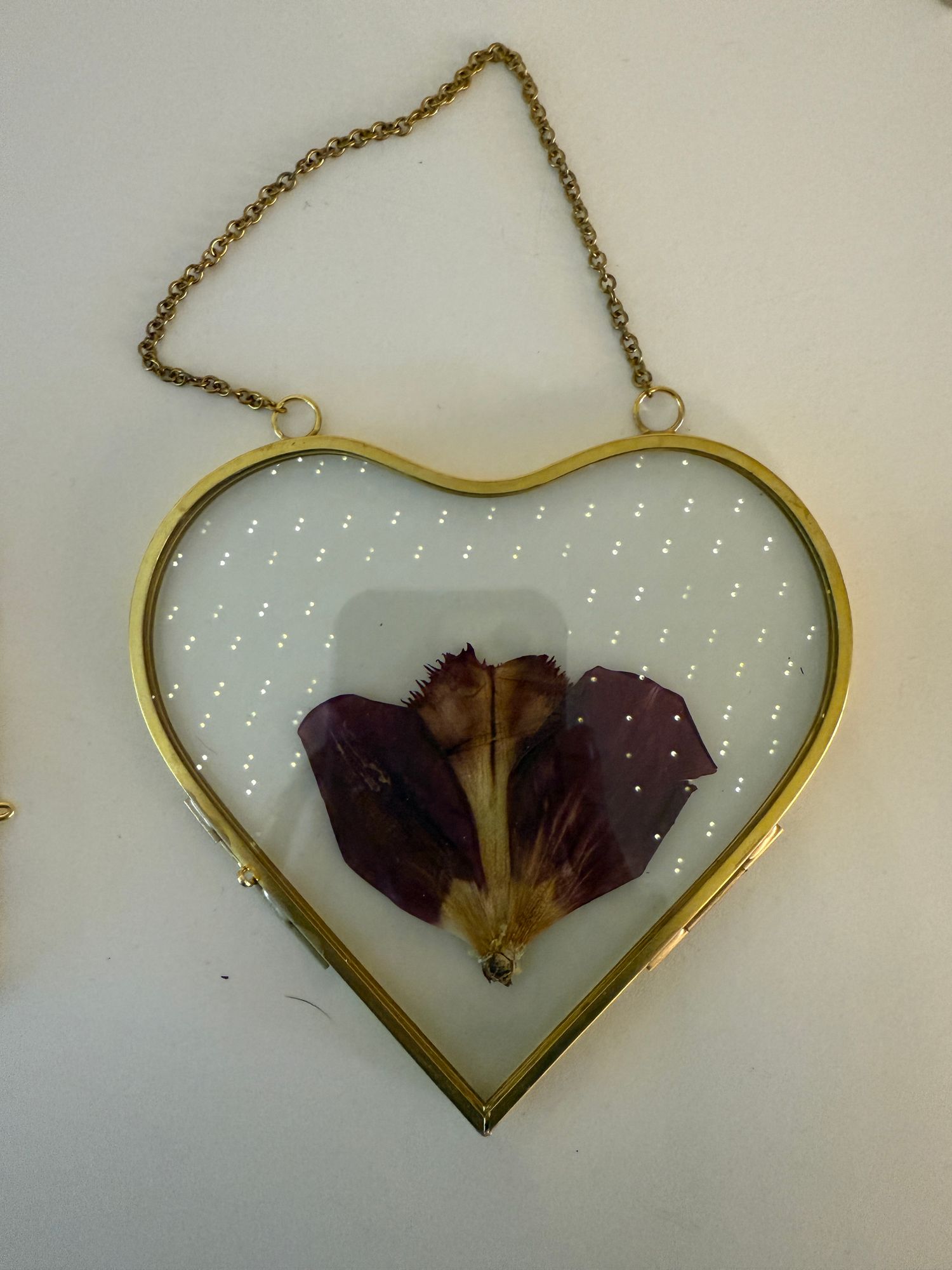 Heart frame pressed flower