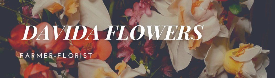 Davida's Flowers / Majestic Greens Farm Banner
