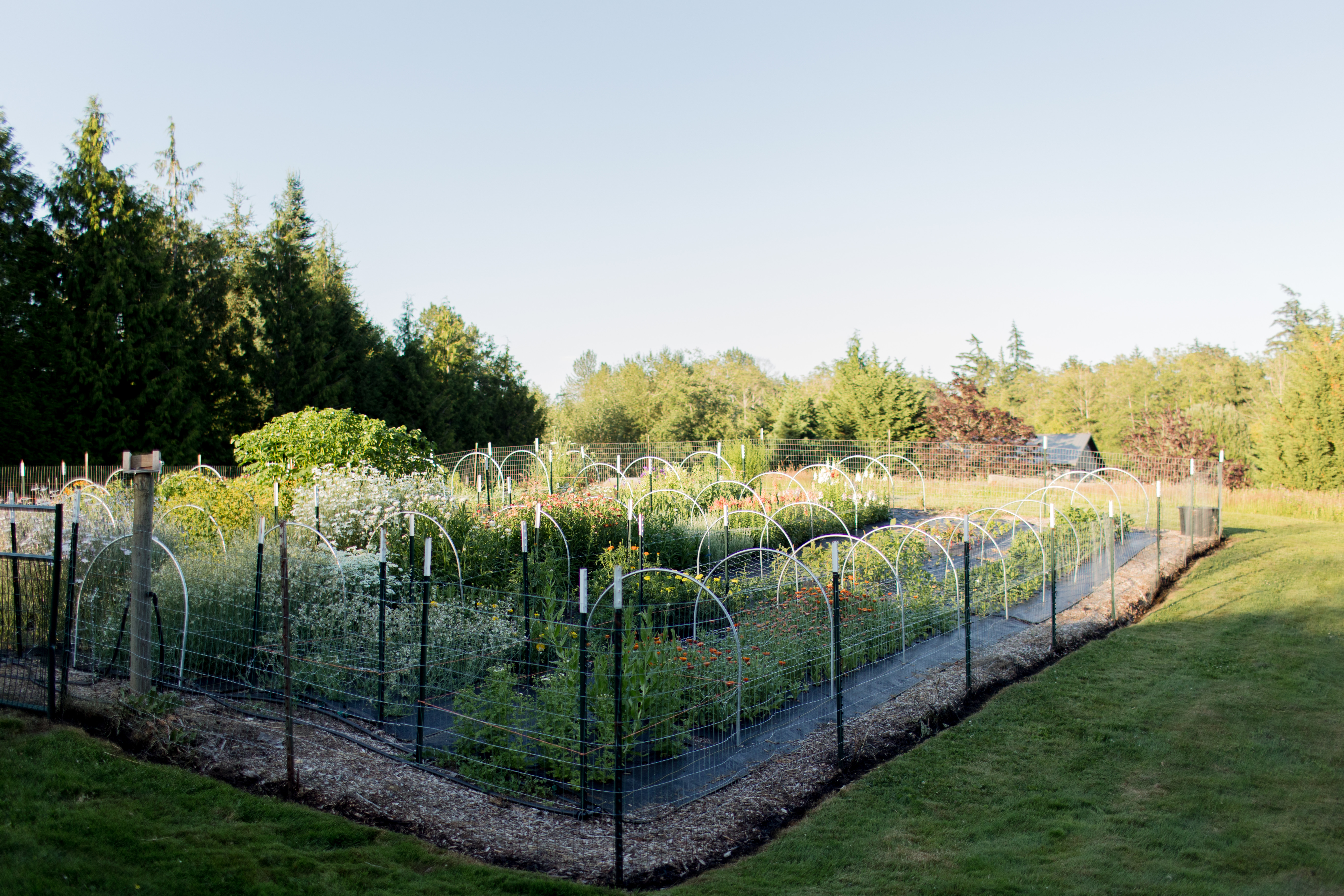 Half Moon's Farm Banner