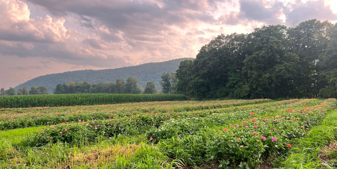 Piecemeal Farm Banner