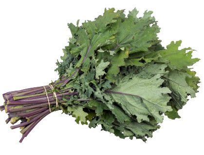 Greens: Kale, Russian Red