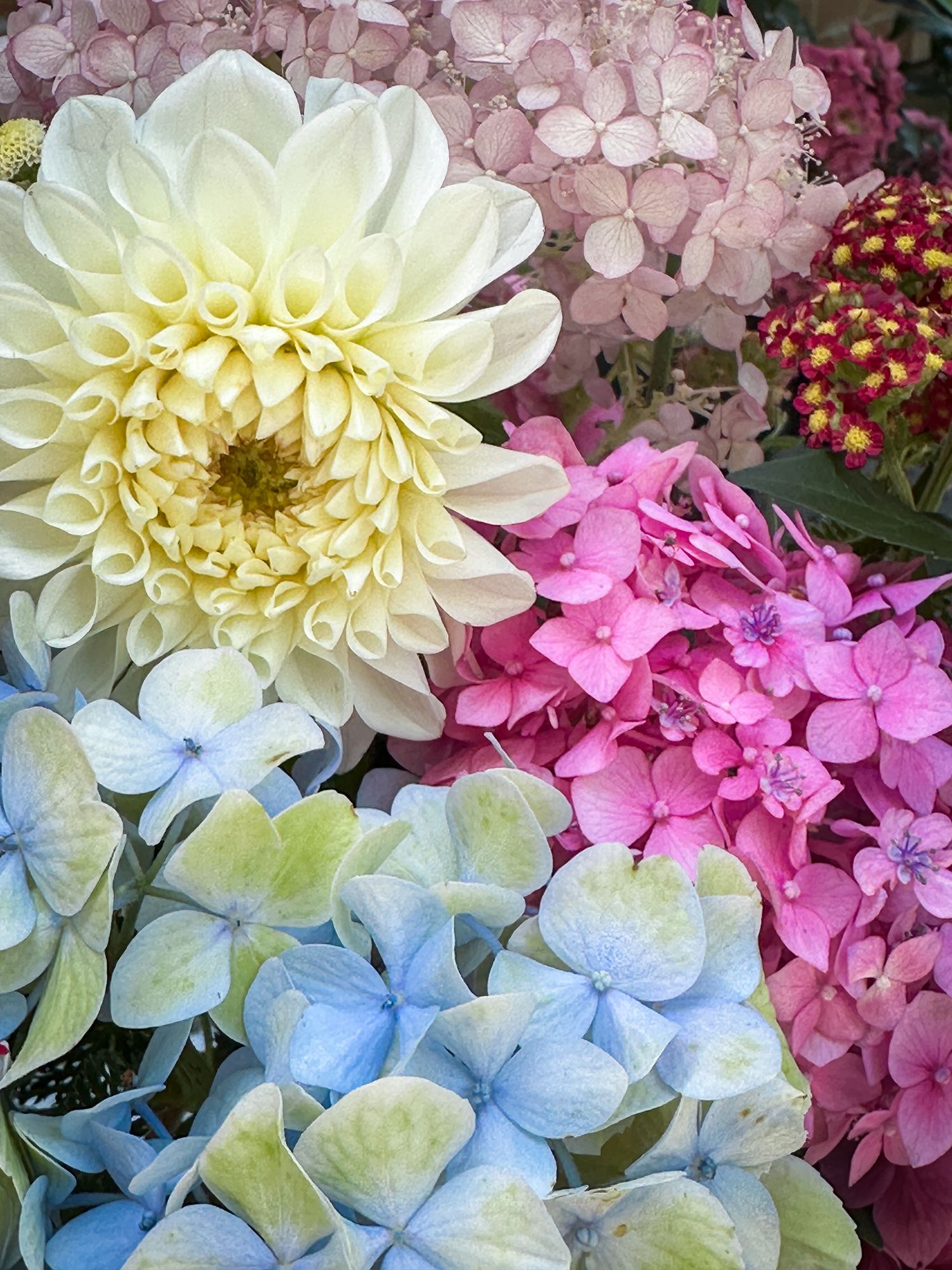 Mac Gardner Flower Farm Banner