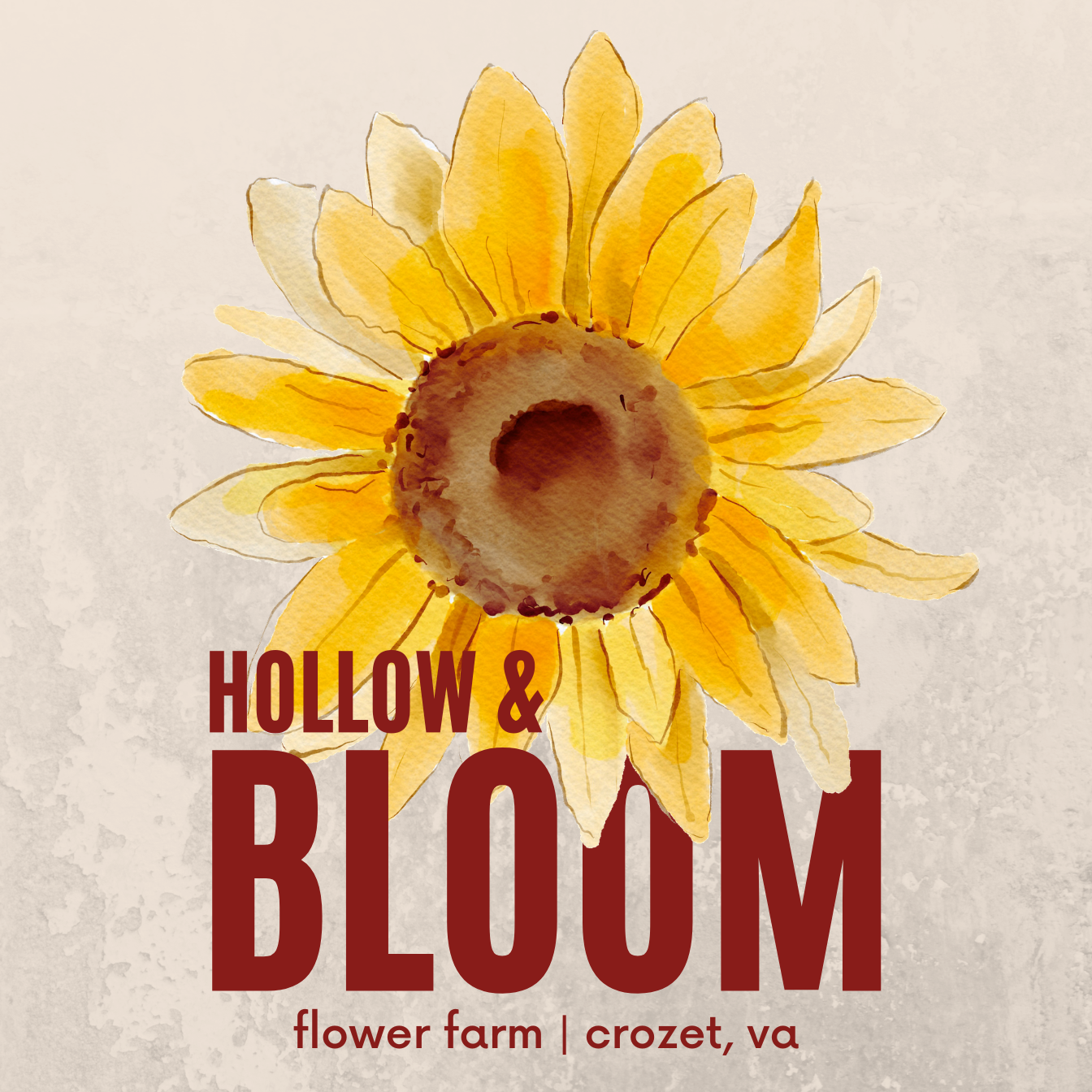 Hollow & Bloom Logo